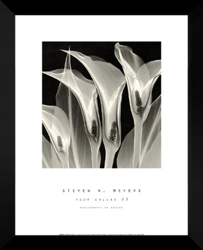 Amazon.com: Steven N Meyers FRAMED Art Print 24x30 